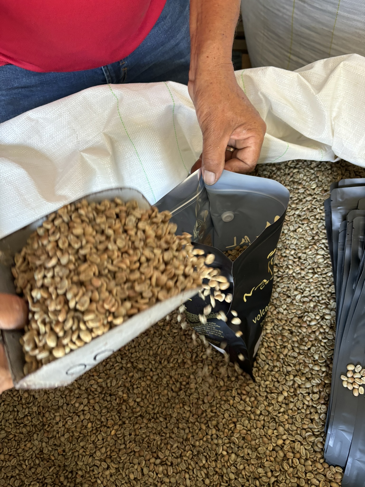 Persona llenando bolsas NATURAL de Costa Rica con caf&eacute; verde